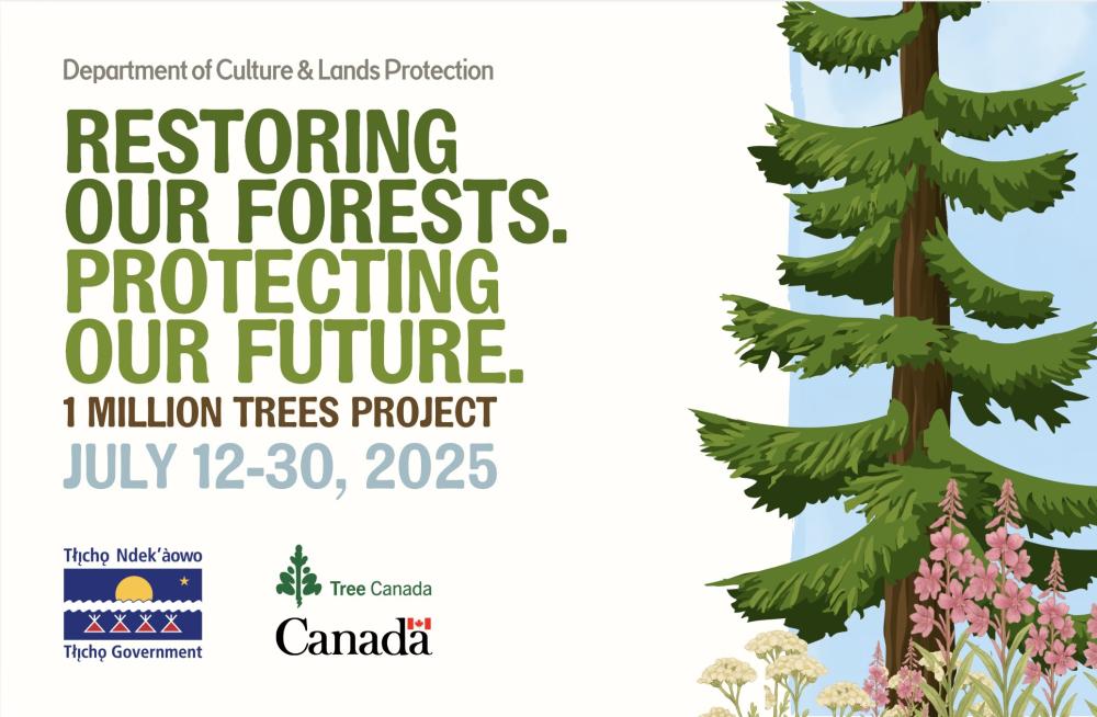One Million Trees Project