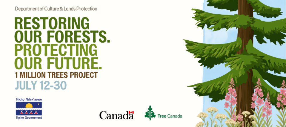 1 Million Trees