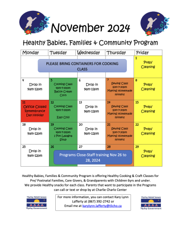 Healthy Babies, Families + Community Program Nov. 2024