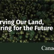 Tłı̨chǫ Government and Natural Resources Canada Invest $53 Million in Land Restoration and Reforestation