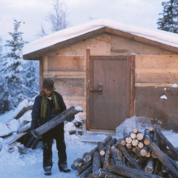 CABINS ON TECHO LANDS