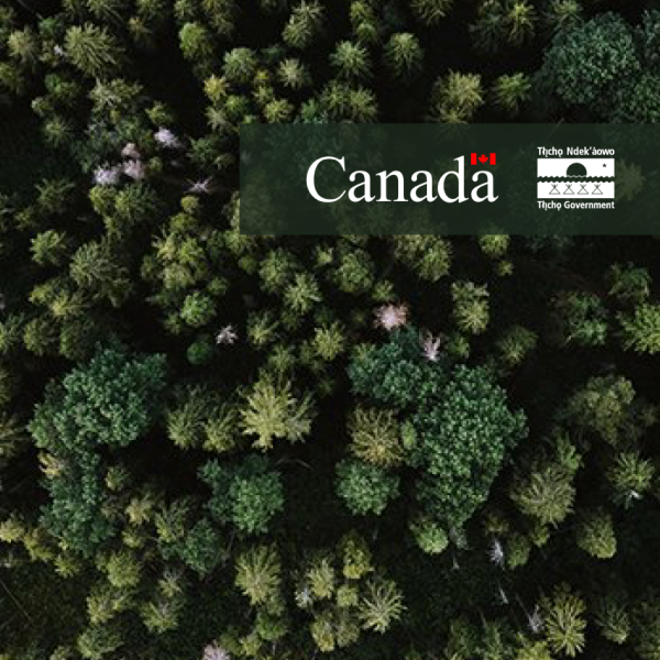 Tłı̨chǫ Government and Natural Resources Canada Invest $53 Million in Land Restoration and Reforestation